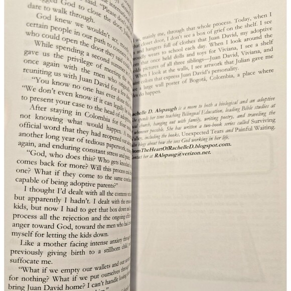 STORIES OF ROARING FAITH BOOK 2 By Donna Skell & Lisa Burkhardt Worley BRAND NEW - Picture 6 of 10